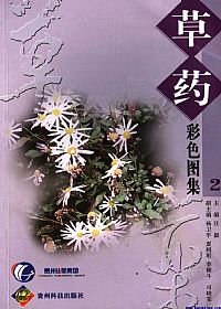 草药彩色图集 二PDF电子书下载中医教学-中医资料-中医医案-中医针灸-古籍珍本-中医基础-中医经典-中医-名家学术-中医男科-疾病专治-经方论治-名族医药-中医方剂-中药本草-中医拔罐-中医刮痧-推拿按摩-中医内科-中西结合-中医妇科-中医皮肤-中医医话-中医外科-中医儿科-中医儿科-海外中医-特色疗法-中医骨伤-中医四诊-中医养生阁