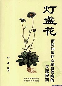 灯盏花 预防和治疗心脑血管病的天赐良药PDF电子书下载中医教学-中医资料-中医医案-中医针灸-古籍珍本-中医基础-中医经典-中医-名家学术-中医男科-疾病专治-经方论治-名族医药-中医方剂-中药本草-中医拔罐-中医刮痧-推拿按摩-中医内科-中西结合-中医妇科-中医皮肤-中医医话-中医外科-中医儿科-中医儿科-海外中医-特色疗法-中医骨伤-中医四诊-中医养生阁