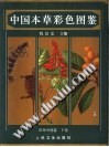 中国本草彩色图鉴 常用中药篇(下)PDF电子书下载中医教学-中医资料-中医医案-中医针灸-古籍珍本-中医基础-中医经典-中医-名家学术-中医男科-疾病专治-经方论治-名族医药-中医方剂-中药本草-中医拔罐-中医刮痧-推拿按摩-中医内科-中西结合-中医妇科-中医皮肤-中医医话-中医外科-中医儿科-中医儿科-海外中医-特色疗法-中医骨伤-中医四诊-中医养生阁