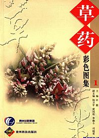 草药彩色图集 一PDF电子书下载中医教学-中医资料-中医医案-中医针灸-古籍珍本-中医基础-中医经典-中医-名家学术-中医男科-疾病专治-经方论治-名族医药-中医方剂-中药本草-中医拔罐-中医刮痧-推拿按摩-中医内科-中西结合-中医妇科-中医皮肤-中医医话-中医外科-中医儿科-中医儿科-海外中医-特色疗法-中医骨伤-中医四诊-中医养生阁