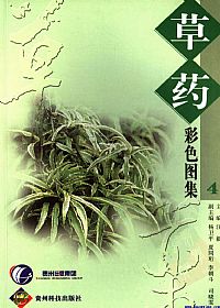 草药彩色图集  四PDF电子书下载中医教学-中医资料-中医医案-中医针灸-古籍珍本-中医基础-中医经典-中医-名家学术-中医男科-疾病专治-经方论治-名族医药-中医方剂-中药本草-中医拔罐-中医刮痧-推拿按摩-中医内科-中西结合-中医妇科-中医皮肤-中医医话-中医外科-中医儿科-中医儿科-海外中医-特色疗法-中医骨伤-中医四诊-中医养生阁