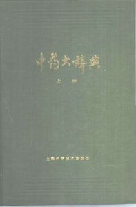 中药大辞典 上下PDF电子书下载中医教学-中医资料-中医医案-中医针灸-古籍珍本-中医基础-中医经典-中医-名家学术-中医男科-疾病专治-经方论治-名族医药-中医方剂-中药本草-中医拔罐-中医刮痧-推拿按摩-中医内科-中西结合-中医妇科-中医皮肤-中医医话-中医外科-中医儿科-中医儿科-海外中医-特色疗法-中医骨伤-中医四诊-中医养生阁