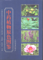 中药植物原色图鉴PDF电子书下载中医教学-中医资料-中医医案-中医针灸-古籍珍本-中医基础-中医经典-中医-名家学术-中医男科-疾病专治-经方论治-名族医药-中医方剂-中药本草-中医拔罐-中医刮痧-推拿按摩-中医内科-中西结合-中医妇科-中医皮肤-中医医话-中医外科-中医儿科-中医儿科-海外中医-特色疗法-中医骨伤-中医四诊-中医养生阁