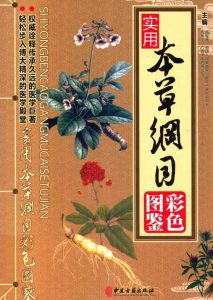 实用本草纲目彩色图鉴 上PDF电子书下载中医教学-中医资料-中医医案-中医针灸-古籍珍本-中医基础-中医经典-中医-名家学术-中医男科-疾病专治-经方论治-名族医药-中医方剂-中药本草-中医拔罐-中医刮痧-推拿按摩-中医内科-中西结合-中医妇科-中医皮肤-中医医话-中医外科-中医儿科-中医儿科-海外中医-特色疗法-中医骨伤-中医四诊-中医养生阁